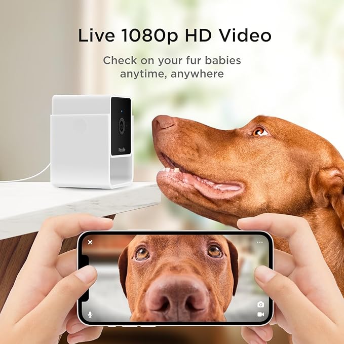 Petcube Cam The Pack of 3 | Indoor Wi-Fi Pet Security Camera - Image 2
