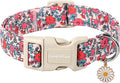 Lionet Paws Floral Dog Collar- Cute Red Pink Flower Dog Collars by lionetpaws