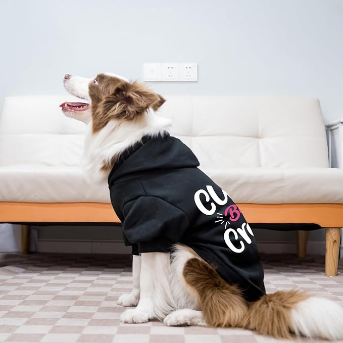 EXPAWLORER Valentine's Day Dog Hoodie-Soft and Warm Dog Sweaters, Pet Clothes - Image 7