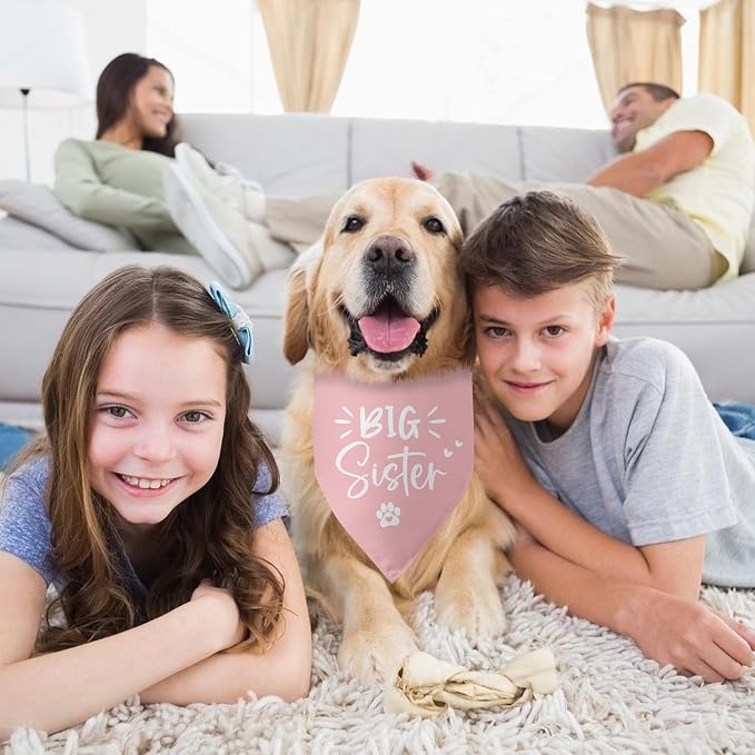 Big Sister Dog Bandana Pregnancy Announcement Gender Reveal Baby Announcement - Image 6