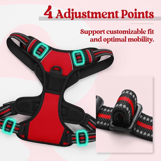 rabbitgoo Dog Harness, No-Pull Pet Harness - Image 4