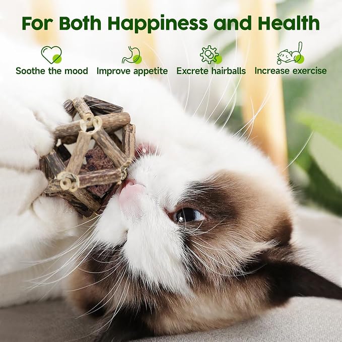 Potaroma Catnip Toys, Kitten Cleaning Teeth Molar Matatabi Cat Chew Toy All - Image 3
