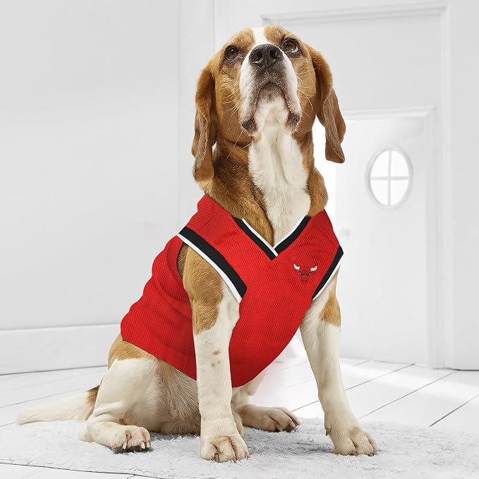 Pets First NBA CHICAGO BULLS DOG Jersey, Medium - Image 4