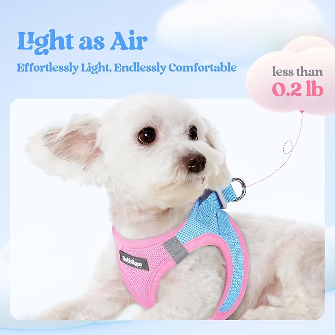 rabbitgoo Dog Harness Small Sized and Leash Set, Step in Soft Light Puppy Vest - Image 4