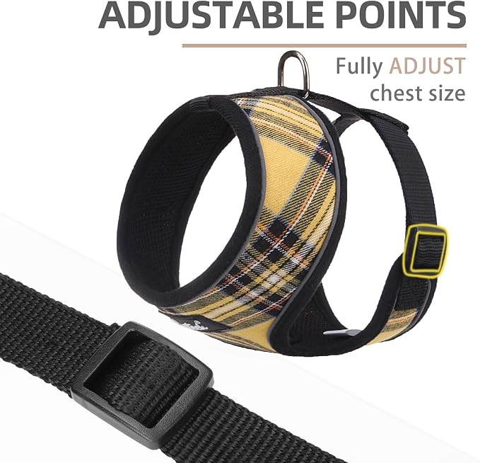 PUPTECK Soft Mesh Dog Harness and Leash Set Pet Puppy Cat Comfort Padded Vest - Image 2