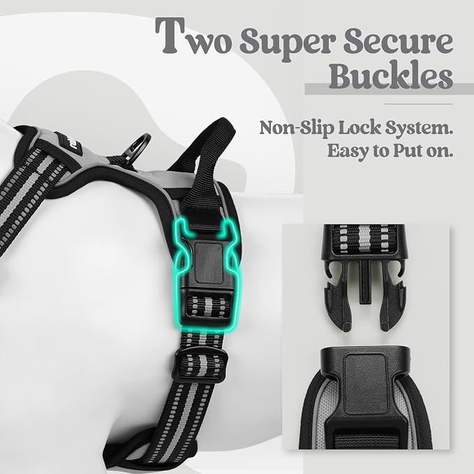 rabbitgoo Dog Harness No Pull - Image 3