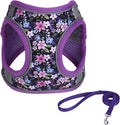 Step in Dog Harness No Pull Flower Adjustable Soft Mesh Padded Reflective Pet by KocaPlye
