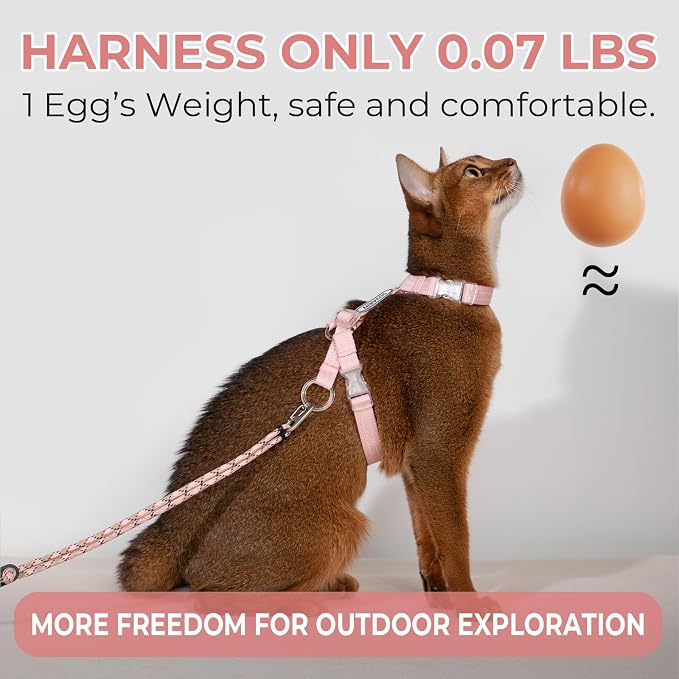Cat Harness and Leash Set - Image 2