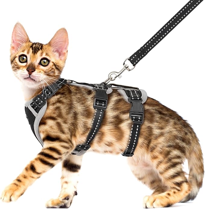 Cat Harness for Walking, Escape Proof Cat Harness and Leash Set by Pawfun