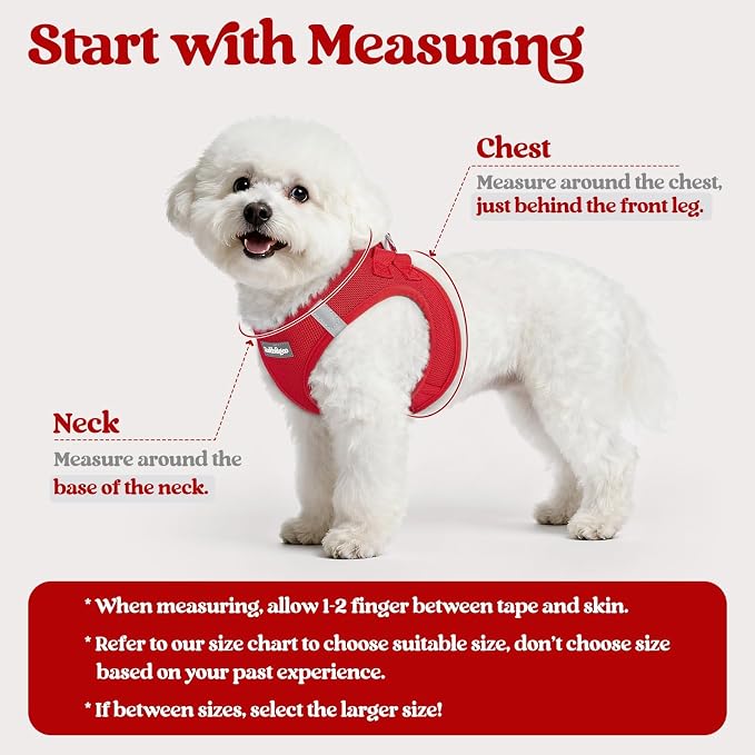 rabbitgoo Dog Harness Small Sized and Leash Set, Step in Soft Light Puppy Vest - Image 2