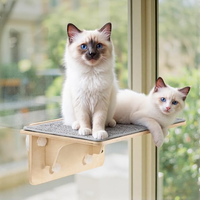 Pecute 2-in-1 Large Cat Window Perch & Wall Shelves, Cat Hammock Window by pecute