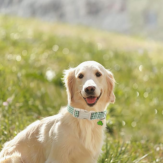 Lionet Paws St. Patrick Dog Collar, Comfortable Adjustable Green Collar - Image 4