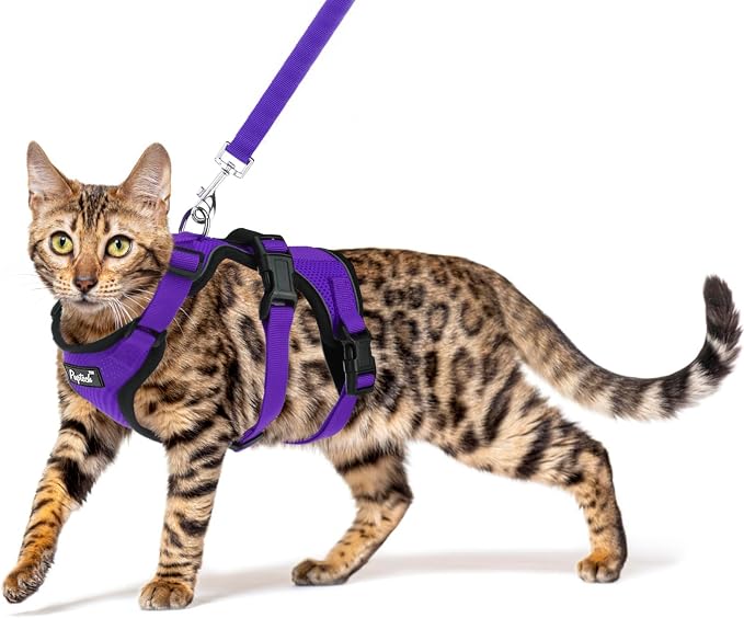 PUPTECK Cat Harness and Leash Set Escape Proof by PUPTECK