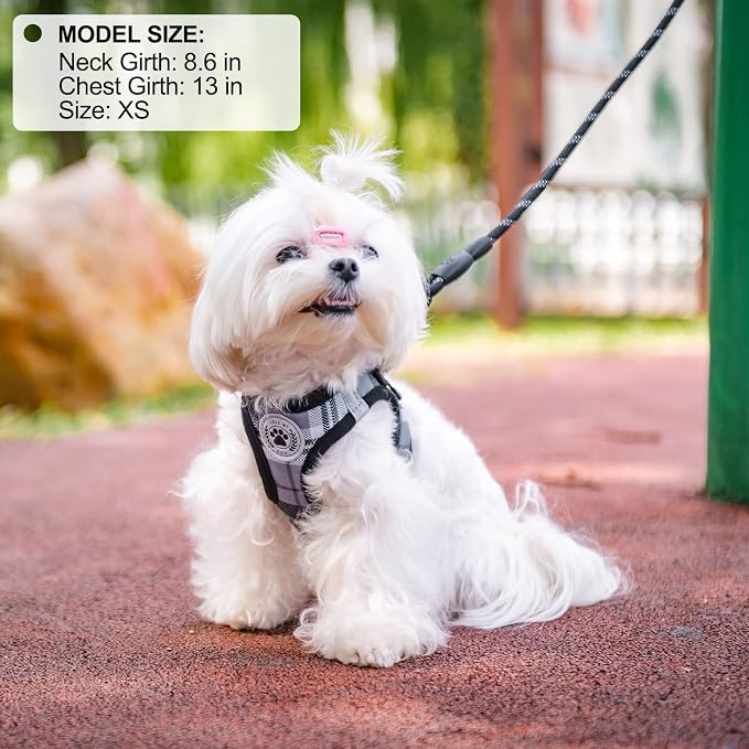 BEAUTYZOO Small Dog Harness and Leash Set, Step in No Choke No Pull Soft Mesh - Image 8
