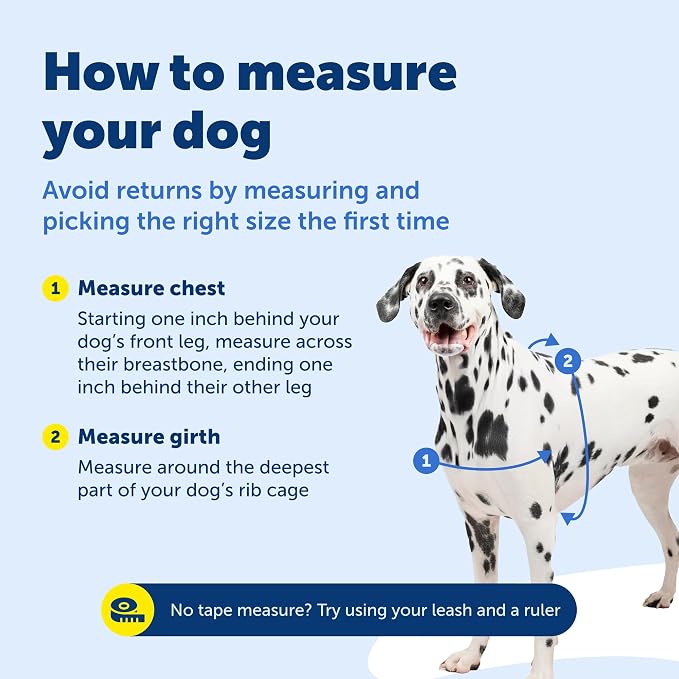 PetSafe Easy Walk Harness for Dogs - Image 8