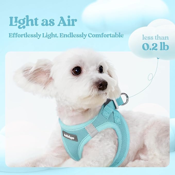 rabbitgoo Dog Harness Small Sized and Leash Set, Step in Soft Light Puppy Vest - Image 4