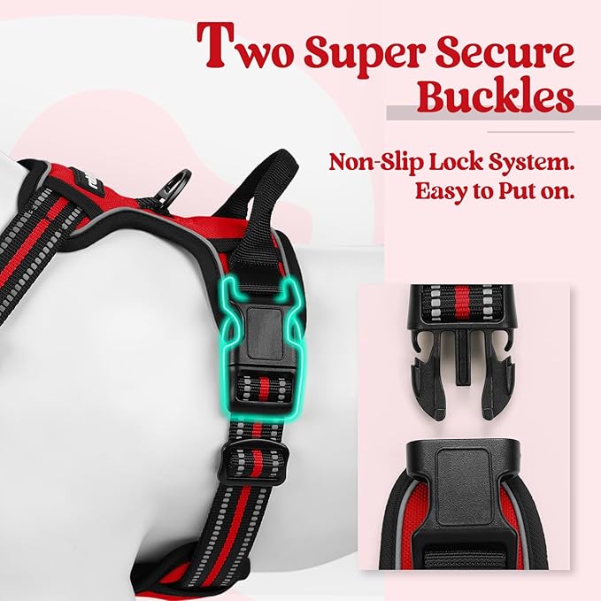rabbitgoo Dog Harness No Pull - Image 3
