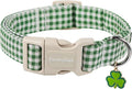 Lionet Paws St. Patrick Dog Collar, Comfortable Adjustable Green Collar by lionetpaws