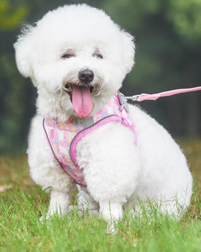 Dog Harness for Small Medium Dogs No Pull, Cat Harness and Leash Set, Step in - Image 2