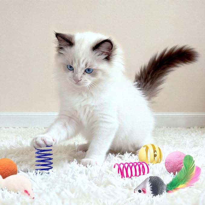 AGYM Cat Toys for Indoor Cats, 35 Packs Interactive Cat Toys Set - Image 5