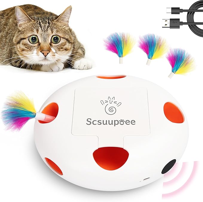 Interactive Cat Toy, Electric Cat Toys by Scsuupoeecattoys