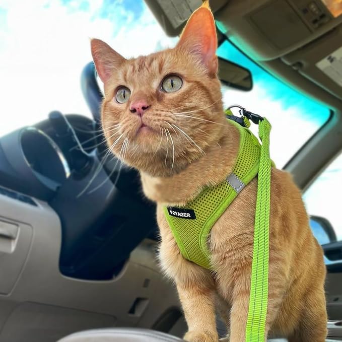 Voyager Step-in Pet Harness - Image 6