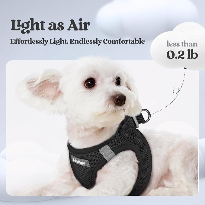 rabbitgoo Dog Harness Small Sized and Leash Set, Step in Soft Light Puppy Vest - Image 3