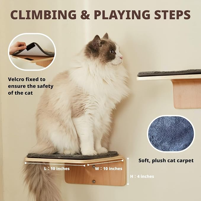 Cat Wall Shelves with 2 Steps, Creative Design Cat Shelf with Peephole - Image 4