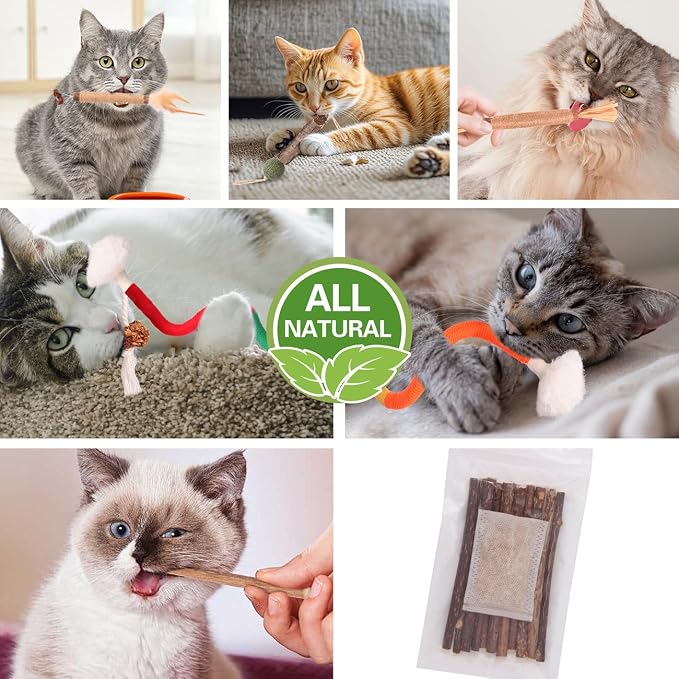 Kyouki Cat Toys Cat Chew Toys, Kitten Dental Care, Kitty - Image 3