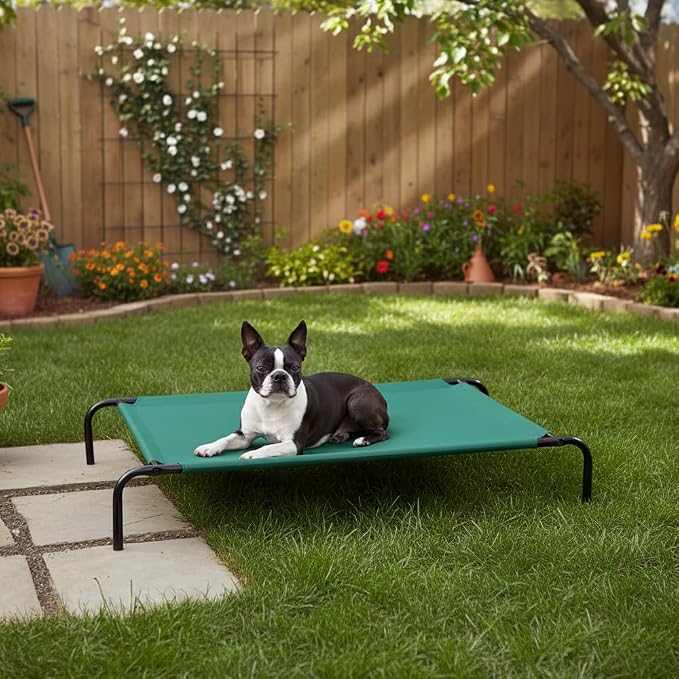 Amazon Basics Cooling Breathable Elevated Dog Bed - Image 7