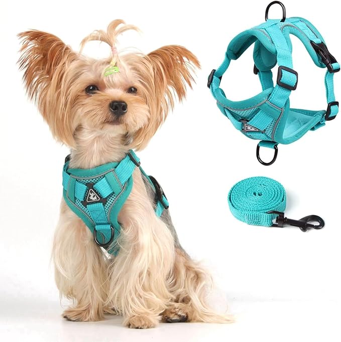 Vest Harness Leash Set for Small Dog Large Cat, Upgraded Escape Proof by skmeditec
