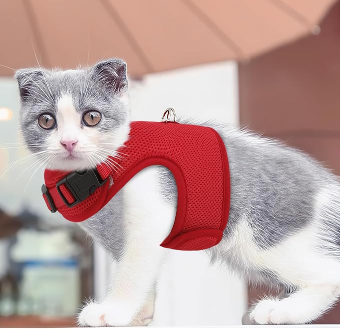 MoNiBloom Soft Cat Harness for Walking Escape Proof and Travel, Kitten - Image 3