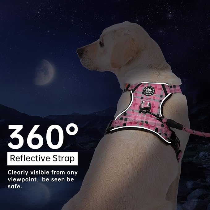 IVY&LANE No Pull Dog Harness - Image 6