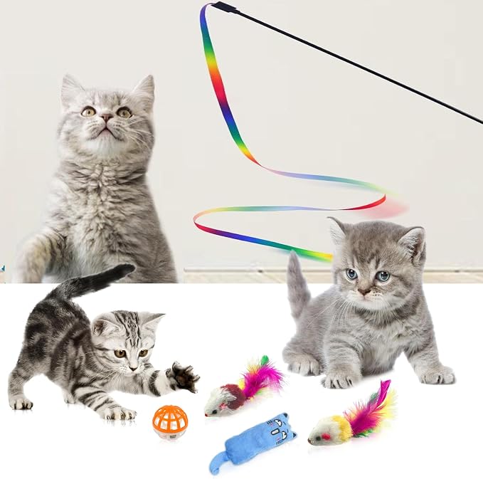 Kitten Starter Kit - Image 7