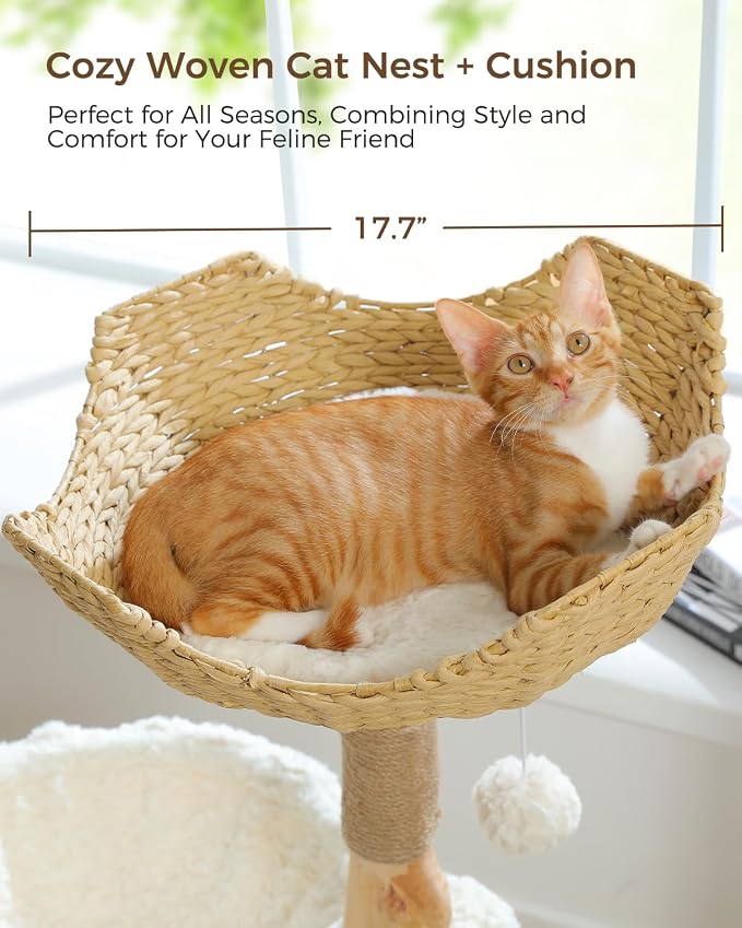 Modern Cat Tree for Large Cats, Wood Cat Tower for Indoor Cats, Real Branch - Image 4