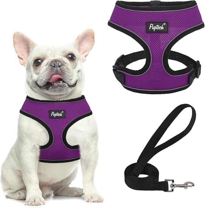 PUPTECK Soft Mesh Dog Harness and Leash Set Pet Puppy Cat Comfort Padded Vest by PUPTECK