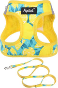 PUPTECK Dog Harness and Leash Set by PUPTECK