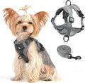 Vest Harness Leash Set for Small Dog Large Cat, Upgraded Escape Proof by skmeditec