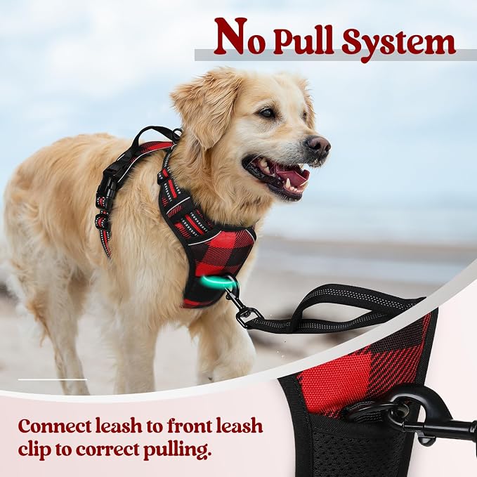 rabbitgoo Dog Harness No Pull - Image 5