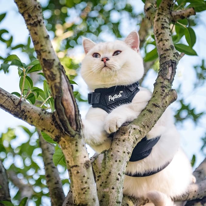 PUPTECK Cat Harness and Leash Set Escape Proof - Image 6