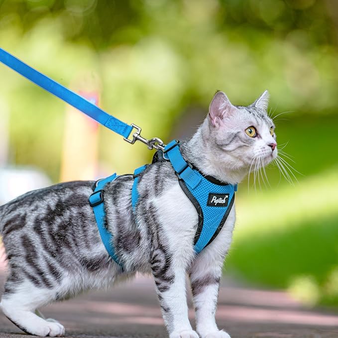 PUPTECK Cat Harness and Leash Set Escape Proof - Image 6