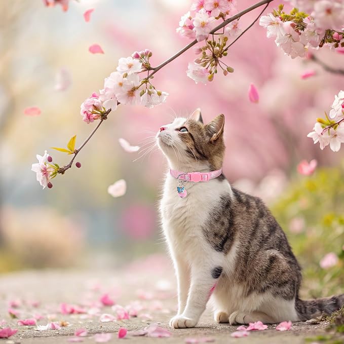 BINGPET Breakaway Cat Collar - Image 2
