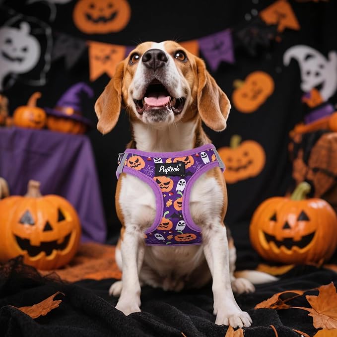 PUPTECK Dog Harness and Leash Set - Image 6