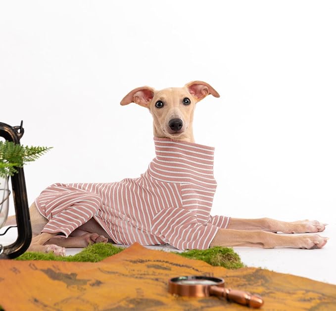 Dog Sweaters for Small Dogs Girls Boys, Striped Pet Sweaters for Fall Winter - Image 4