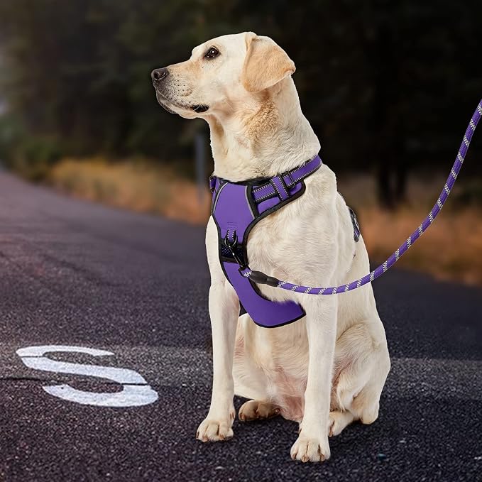 IVY&LANE No Pull Dog Harness for Large Dogs, Dog Vest Harness - Image 7