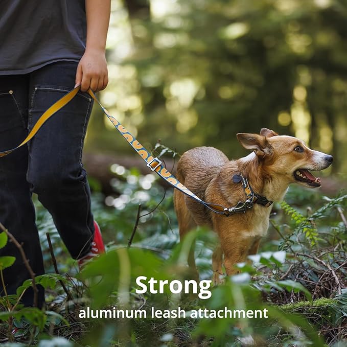 Ruffwear, Crag Dog Collar, Stylish Adventure Collar - Image 6