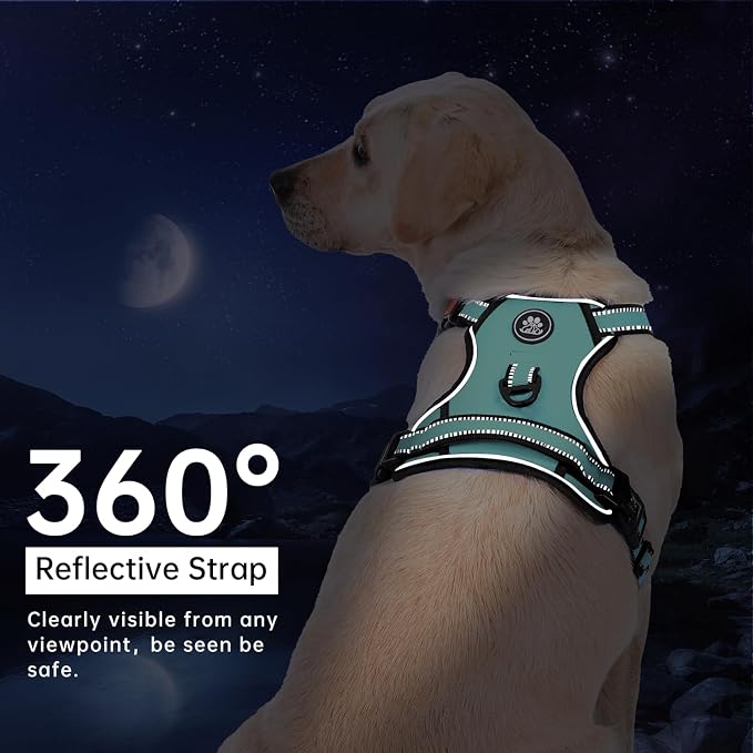 IVY&LANE No Pull Dog Harness - Image 6