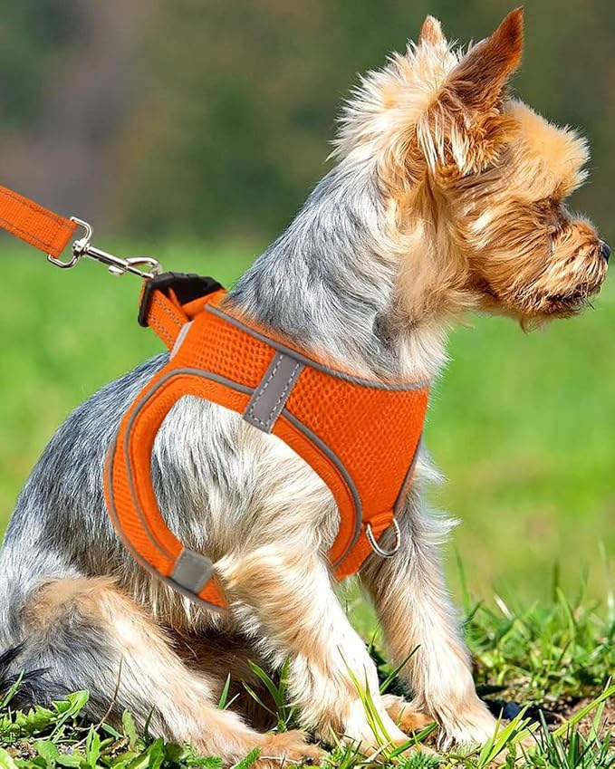 Joytale Small Dog Harness, Breathable Mesh Step-in Vest, Reflective Soft Padded - Image 2