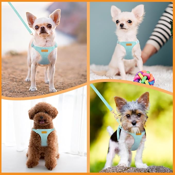 SlowTon Dog Harness Small Sized Dog - Image 7