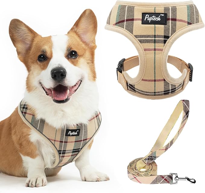 PUPTECK Soft Mesh Dog Harness and Leash Set Pet Puppy Cat Comfort Padded Vest by PUPTECK